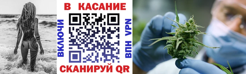 МЕФ Санкт-Петербург