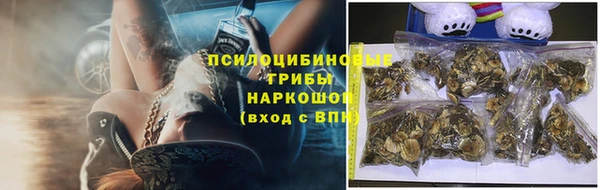 сатива Алзамай