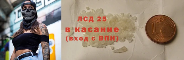 сатива Алзамай
