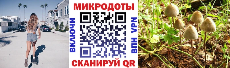 Галлюциногенные грибы прущие грибы  купить наркотики сайты  Санкт-Петербург 