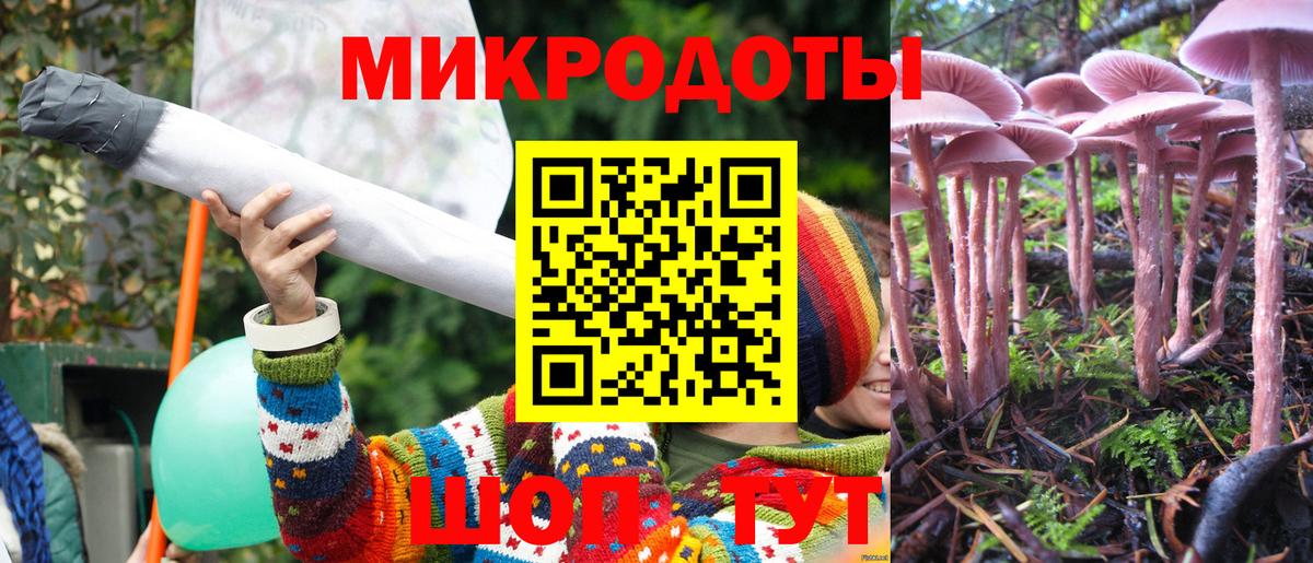 Псилоцибиновые грибы мицелий Санкт-Петербург