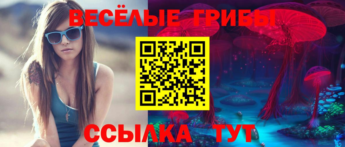 Санкт-Петербург  Псилоцибиновые грибы Psilocybe  Вход с VPN 